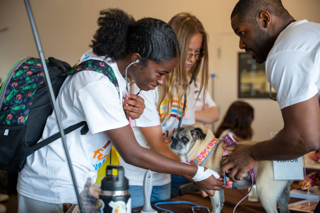 A student checks on her patient, a small dog.